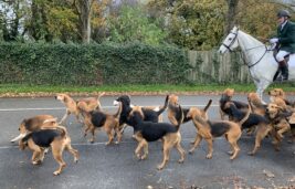 Another Party in the Clubhouse, Local Hunt rents Facilities, Halloween this Friday, Race Night Saturday the 8th of November and other news