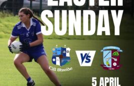 Official Opening confirmed - 26th of April - Wicklow v Kildare, Cul Camp Dates Open and Lotto stays open for one more week...