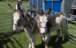 Photos from the Manor Kilbride Field Day 2026