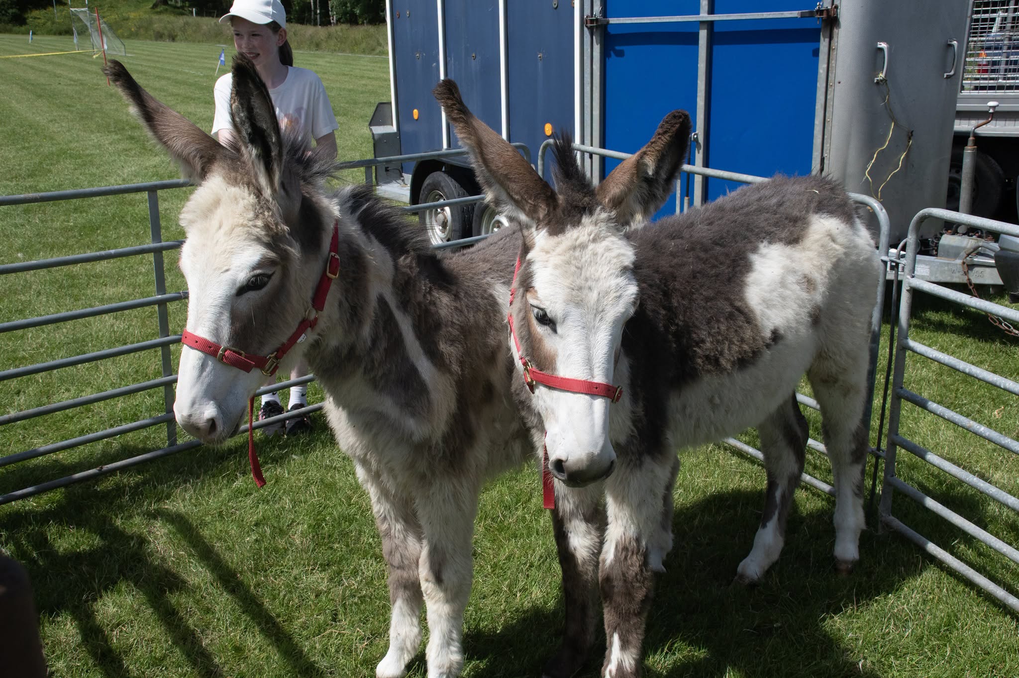 Photos from the Manor Kilbride Field Day 2026