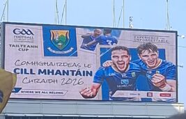What a game, What a comeback...well done to our Wicklow lads, Photos from Croke Park, Ladies lose League Final and more