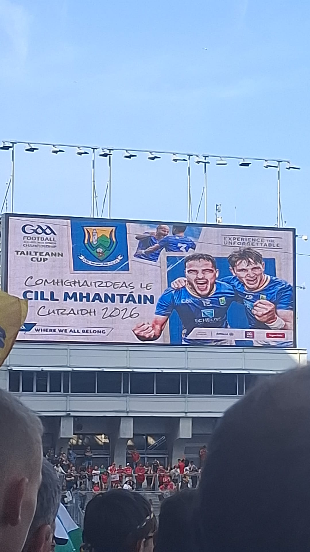 What a game, What a comeback...well done to our Wicklow lads, Photos from Croke Park, Ladies lose League Final and more