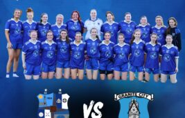 Latest Club News...Championship fixtures for Ladies and both Men's team's...Walking Track Update (photos)...Saint Patrick's Day 1990...a historic day for Baltinglass and Wicklow GAA...the match programme from that very famous day in Croke Park