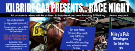 Kilbride GAA - Race Night 2026 (7th November) - One Horses - €20